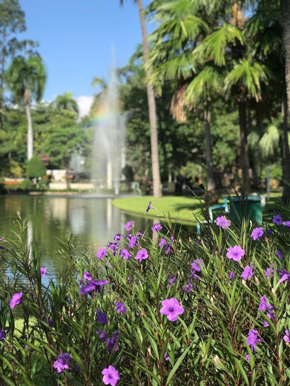 Lis Nimman Hotel Chiang Mai Bagian luar foto